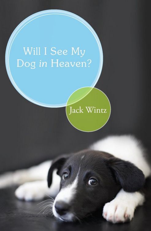 Produktbild: Will I See My Dog in Heaven?