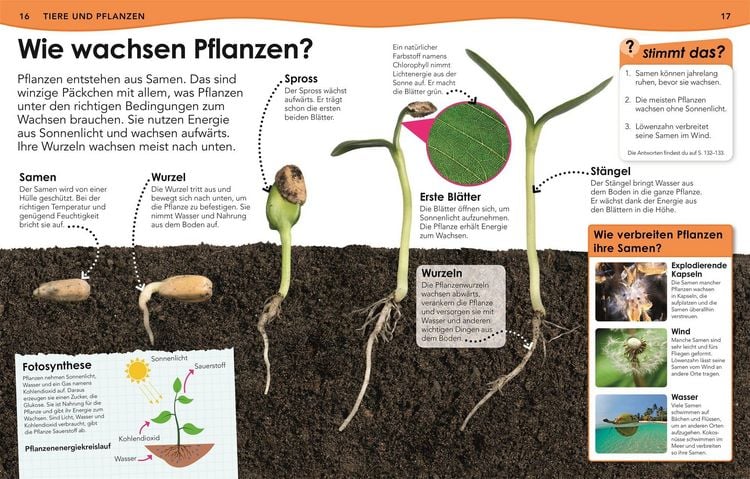 Produktbild: Weshalb? Deshalb! Natur und Technik