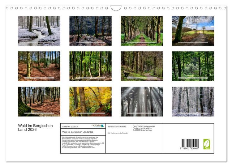 Produktbild: Wald im Bergischen Land 2026 (Wandkalender 2026 DIN A3 quer), CALVENDO Monatskalender