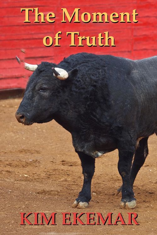 Produktbild: The Moment of Truth