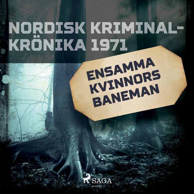 Produktbild: Ensamma kvinnors baneman