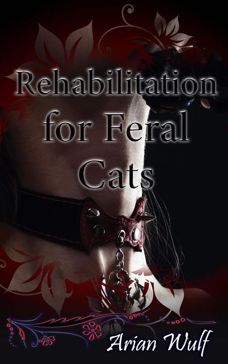 Produktbild: Rehabilitation for Feral Cats (Supernatural Romance)