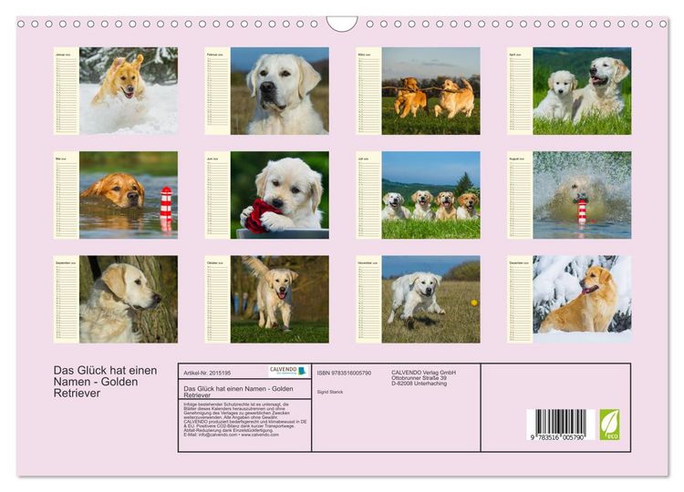 Produktbild: Das Gl&uuml;ck hat einen Namen - Golden Retriever (Wandkalender 2026 DIN A3 quer), CALVENDO Monatskalender