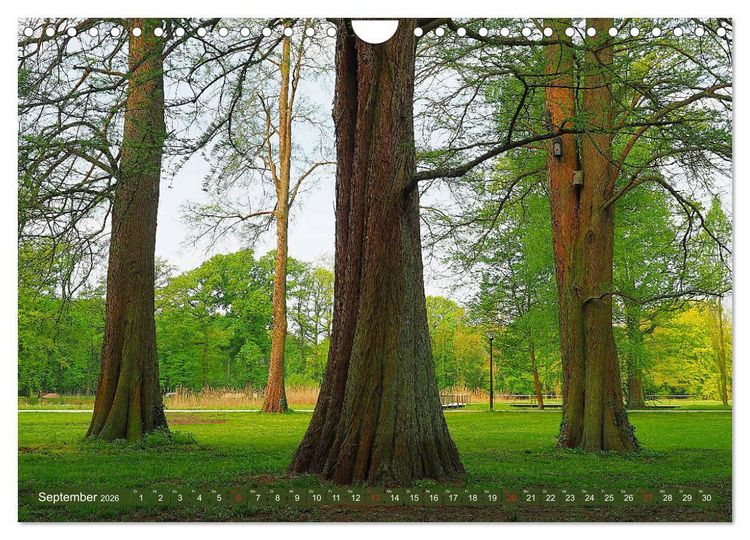 Produktbild: Impressionen - G&uuml;tersloh entlang der Dalke (Wandkalender 2026 DIN A4 quer), CALVENDO Monatskalender