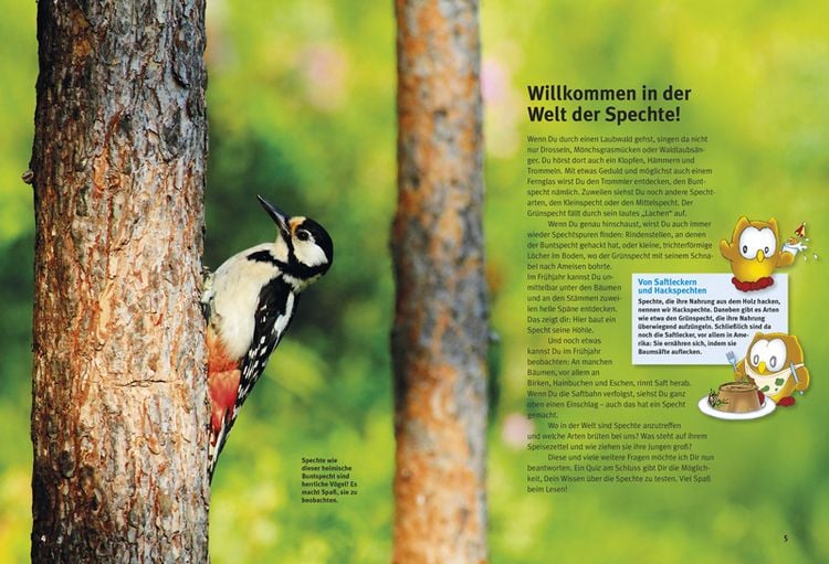 Produktbild: Entdecke die Spechte