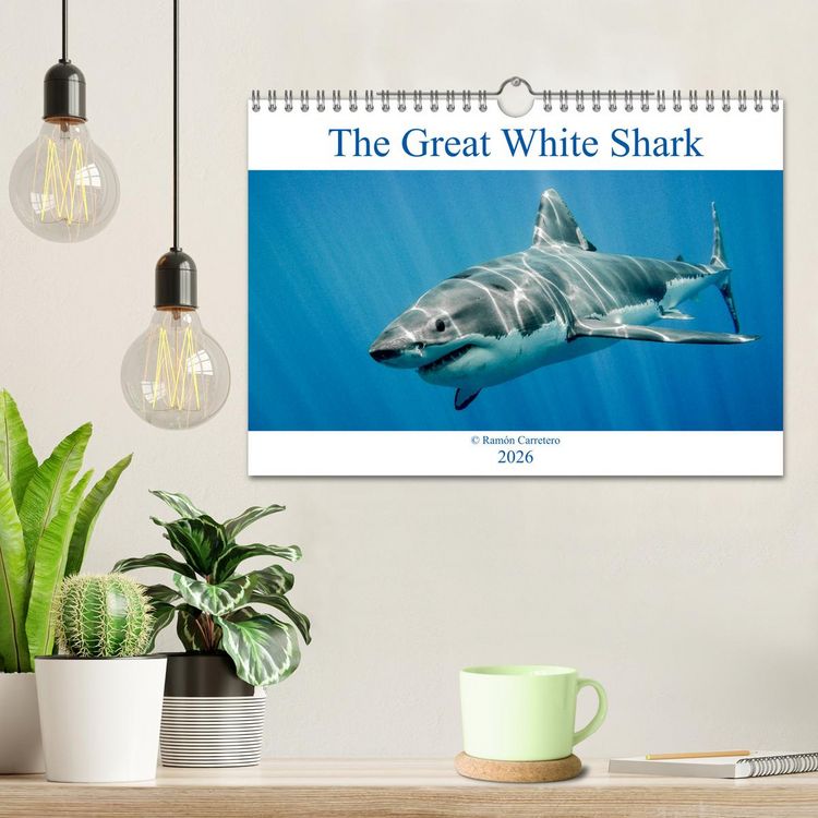 Produktbild: The Great White Shark: King of the Ocean (Wall Calendar 2026 DIN A4 landscape), CALVENDO 12 Month Wall Calendar