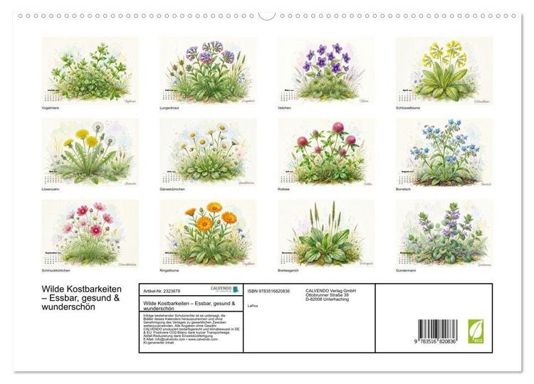 Produktbild: Wilde Kostbarkeiten &ndash; Essbar, gesund & wundersch&ouml;n (hochwertiger Premium Wandkalender 2027 DIN A2 quer), Kunstdruck in Hochglanz