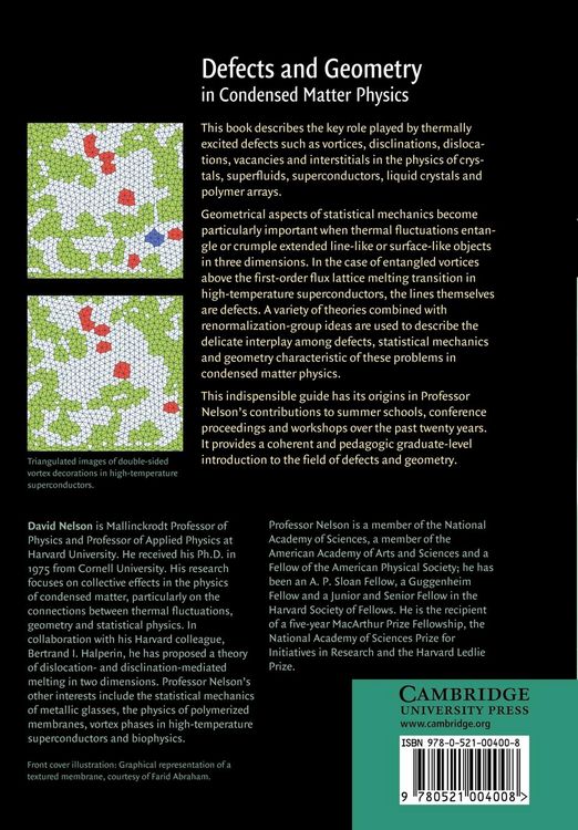 Produktbild: Defects and Geometry in Condensed Matter Physics