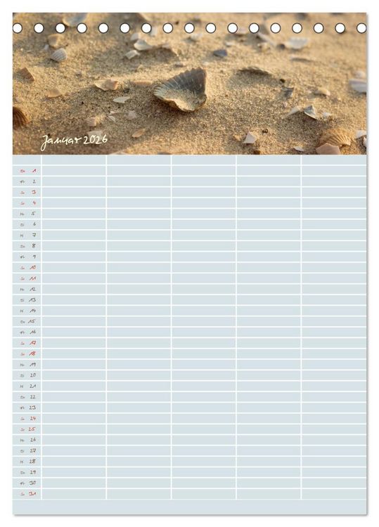 Produktbild: Kleine Sand-Sch&ouml;nheiten / Familienplaner (Tischkalender 2026 DIN A5 hoch), CALVENDO Monatskalender
