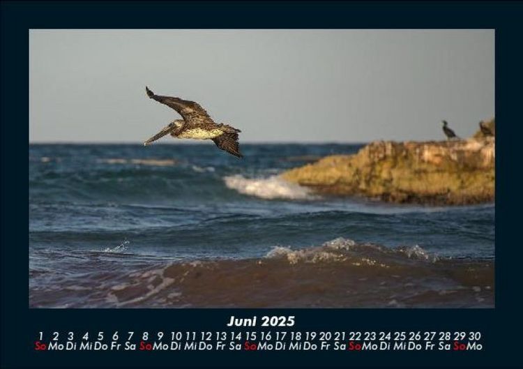 Produktbild: Meereslandschaft 2025 Fotokalender DIN A5