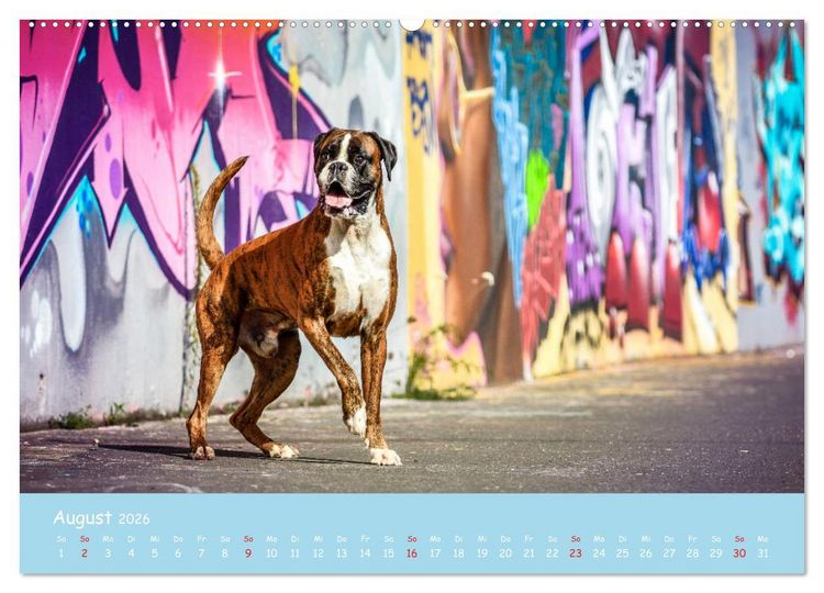 Produktbild: Hunde und Graffiti (Wandkalender 2026 DIN A2 quer), CALVENDO Monatskalender