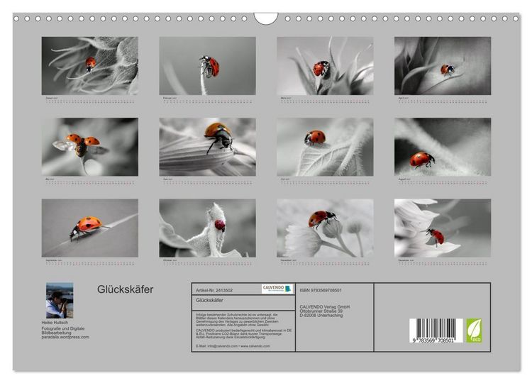 Produktbild: Gl&uuml;cksk&auml;fer (Wandkalender 2027 DIN A3 quer), CALVENDO Monatskalender