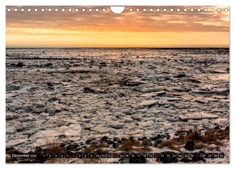 Produktbild: AN DER HUDSON BAY (Wandkalender 2026 DIN A4 quer), CALVENDO Monatskalender