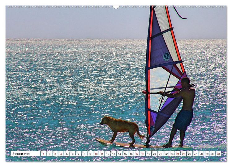 Produktbild: Funsport Windsurfen (hochwertiger Premium Wandkalender 2026 DIN A2 quer), Kunstdruck in Hochglanz