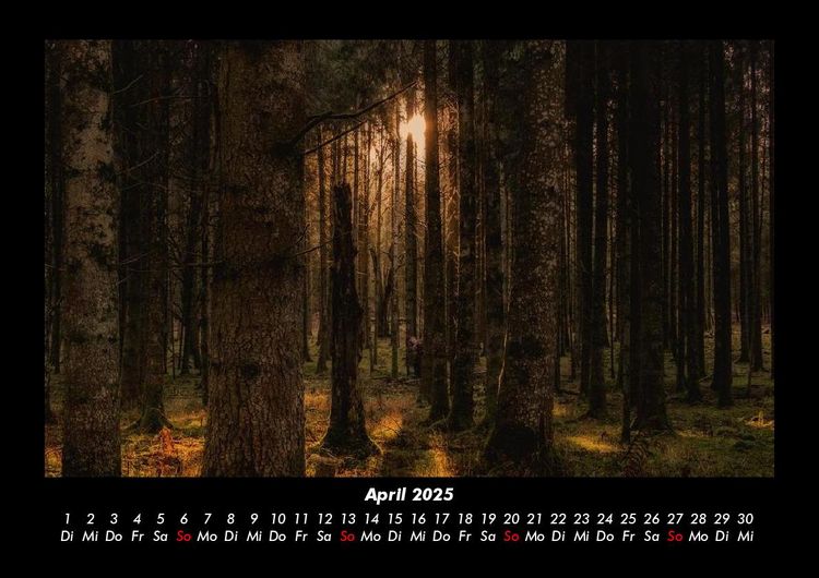 Produktbild: Waldzauber 2025 Fotokalender DIN A3