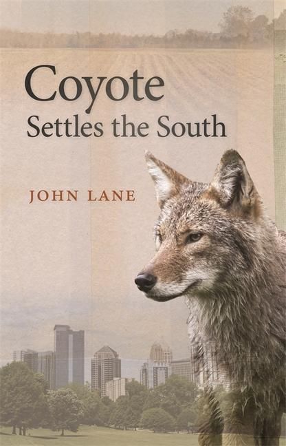 Produktbild: Coyote Settles the South