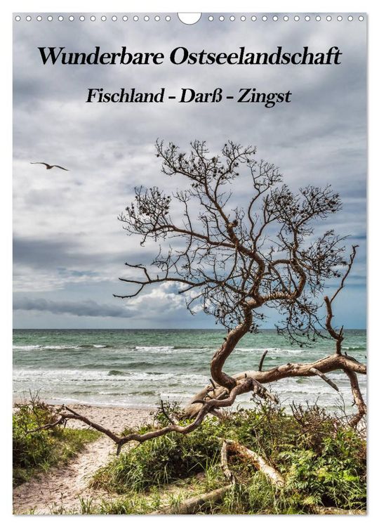 Produktbild: Wunderbare Ostseelandschaft Fischland-Dar&szlig;-Zingst (Wandkalender 2026 DIN A3 hoch), CALVENDO Monatskalender