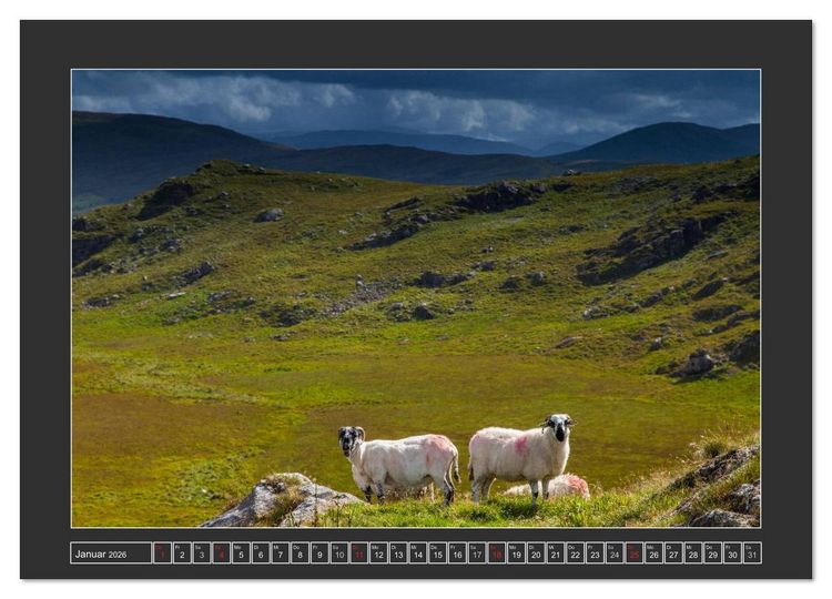 Produktbild: IRLAND - Insel der gl&uuml;cklichen Schafe (Wandkalender 2026 DIN A3 quer), CALVENDO Monatskalender