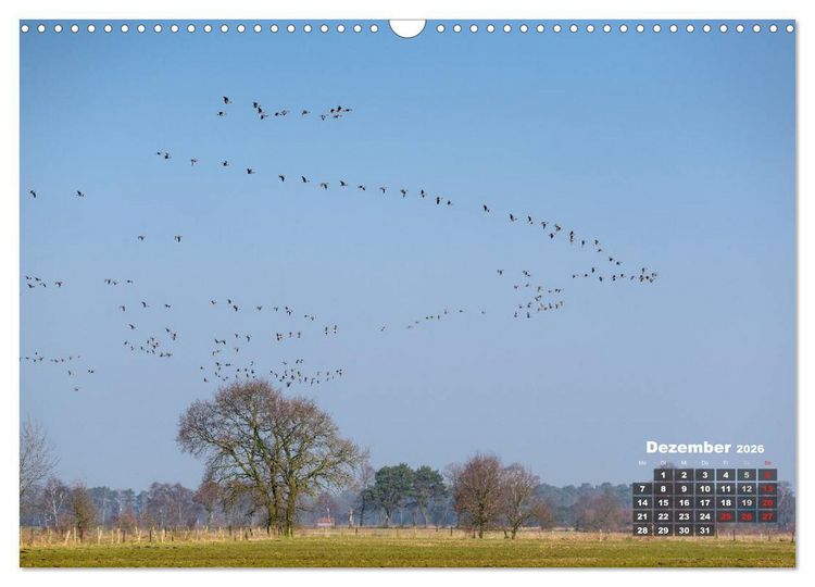 Produktbild: Die Dingdener Heide im Wandel der Jahreszeiten (Wandkalender 2026 DIN A3 quer), CALVENDO Monatskalender