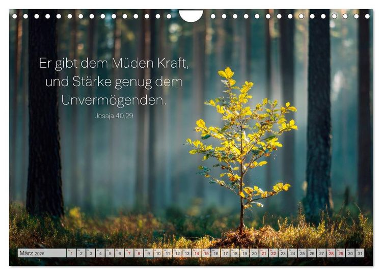 Produktbild: Psalmen und Bibelverse - Himmlische Botschaften (Wandkalender 2026 DIN A4 quer), CALVENDO Monatskalender