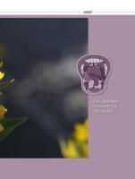 Produktbild: Hausputz f&uuml;r den K&ouml;rper