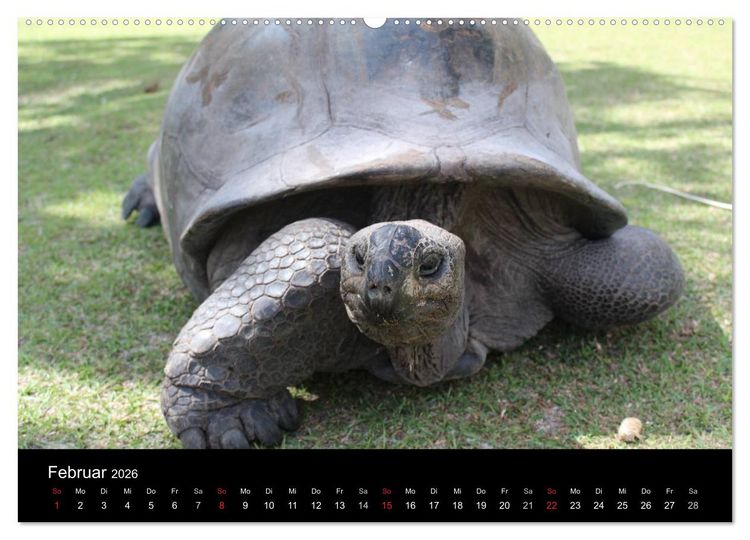 Produktbild: Seychellen (Wandkalender 2026 DIN A2 quer), CALVENDO Monatskalender