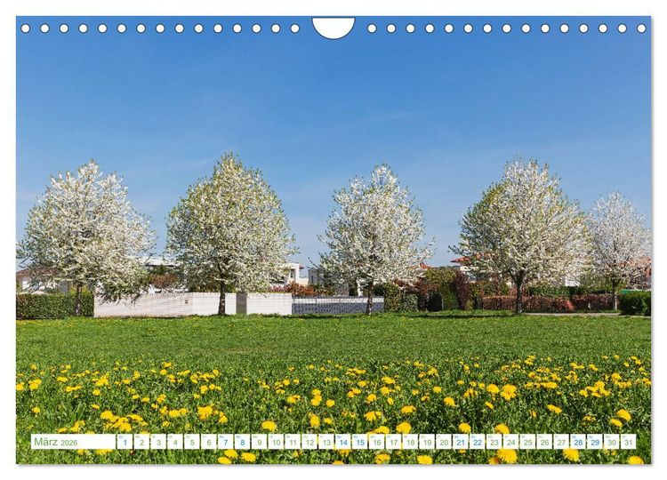 Produktbild: K&ouml;ln Widdersdorf - Bl&uuml;tentr&auml;ume und l&auml;ndliche Idylle (Wandkalender 2026 DIN A4 quer), CALVENDO Monatskalender