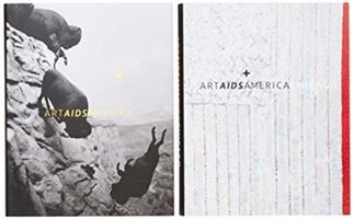 Produktbild: Art AIDS America / Art AIDS America Chicago Boxed Set
