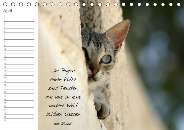 Produktbild: LEBENSGL&Uuml;CK (Tischkalender immerw&auml;hrend DIN A5 quer)