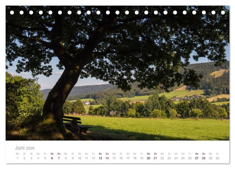 Produktbild: Wundersch&ouml;ne B&auml;ume im Sauerland (Tischkalender 2026 DIN A5 quer), CALVENDO Monatskalender