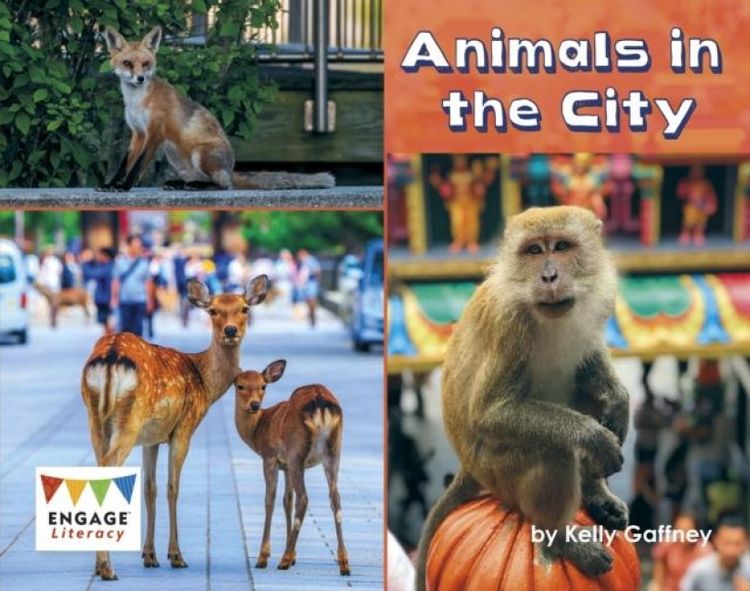 Produktbild: Animals in the City