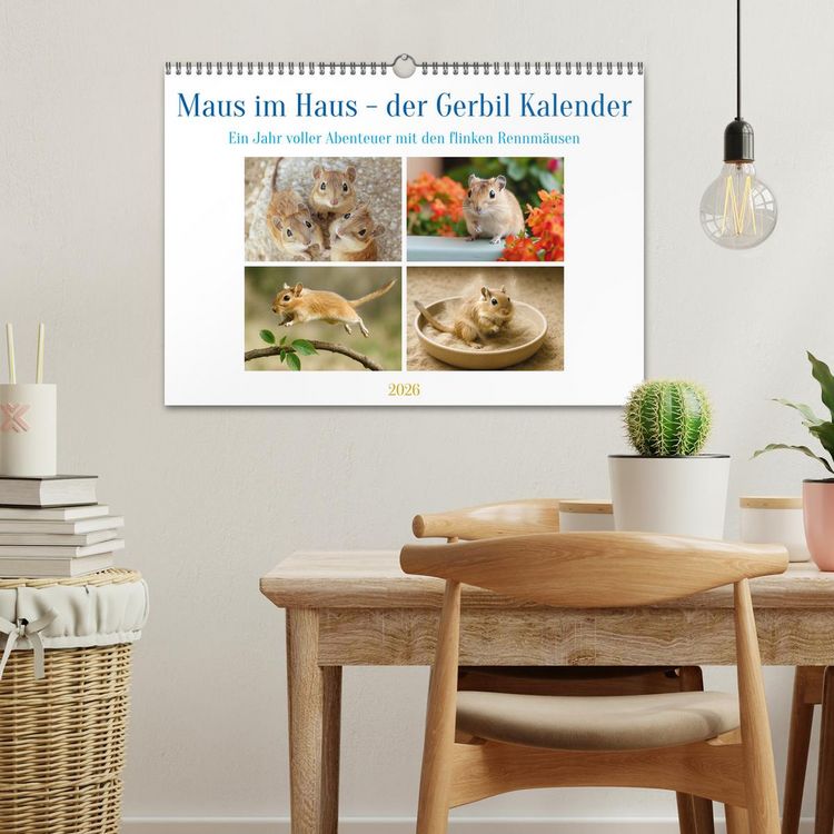 Produktbild: Maus im Haus - der Gerbil Kalender (Wandkalender 2026 DIN A3 quer), CALVENDO Monatskalender
