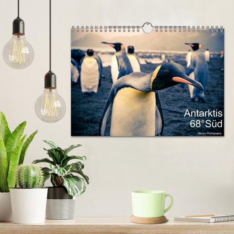 Produktbild: Antarktis 68&deg; S&uuml;d (Wandkalender 2026 DIN A4 quer), CALVENDO Monatskalender
