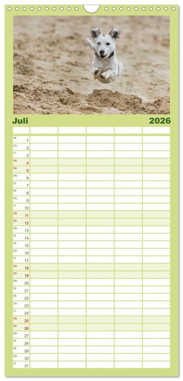 Produktbild: Familienplaner 2026 - Hunde Action mit 5 Spalten (Wandkalender, 21 x 45 cm) CALVENDO