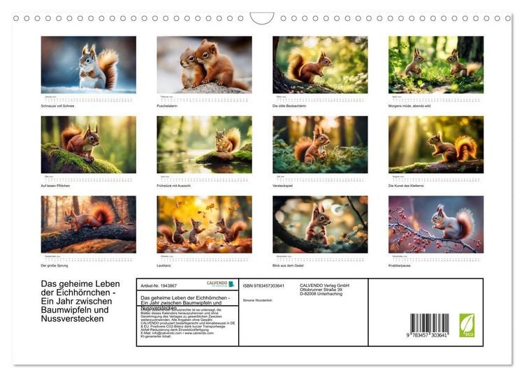 Produktbild: Das geheime Leben der Eichh&ouml;rnchen - Ein Jahr zwischen Baumwipfeln und Nussverstecken (Wandkalender 2026 DIN A3 quer), CALVENDO Monatskalender