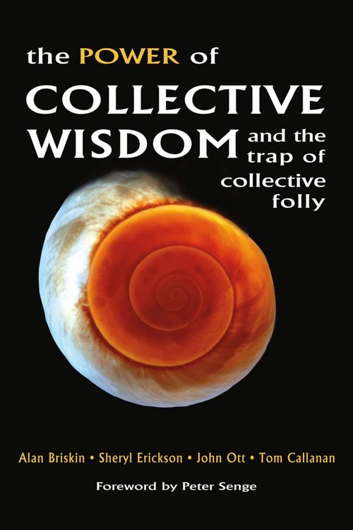 Produktbild: Briskin, A: Power of Collective Wisdom