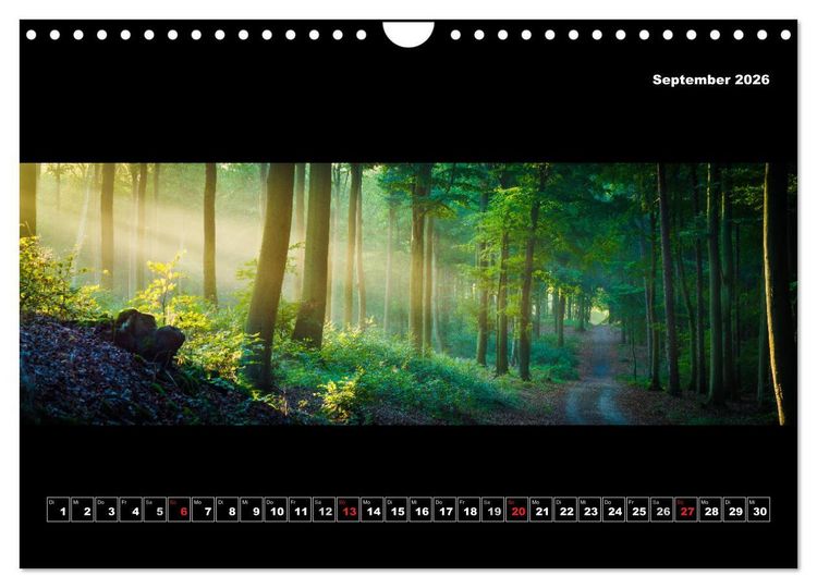 Produktbild: Weitblicke - Panoramen (Wandkalender 2026 DIN A4 quer), CALVENDO Monatskalender