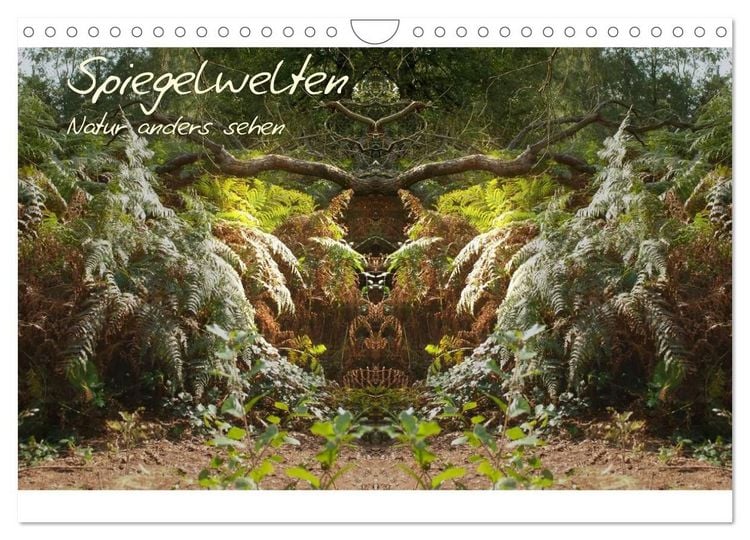 Produktbild: Spiegelwelten - Natur anders sehen (Wandkalender 2027 DIN A4 quer), CALVENDO Monatskalender