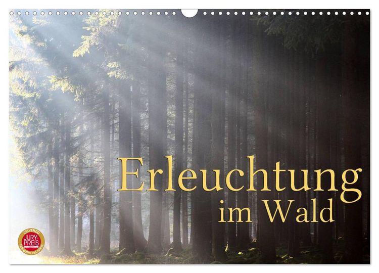 Produktbild: Erleuchtung im Wald (Wandkalender 2026 DIN A3 quer), CALVENDO Monatskalender