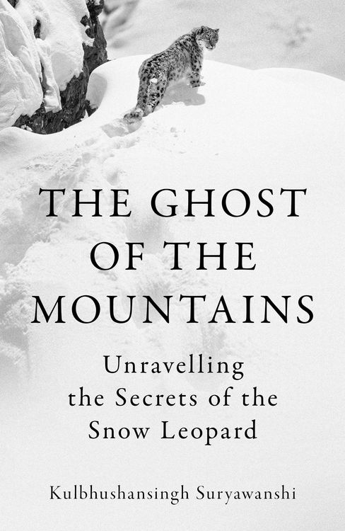 Produktbild: The Ghost of the Mountains