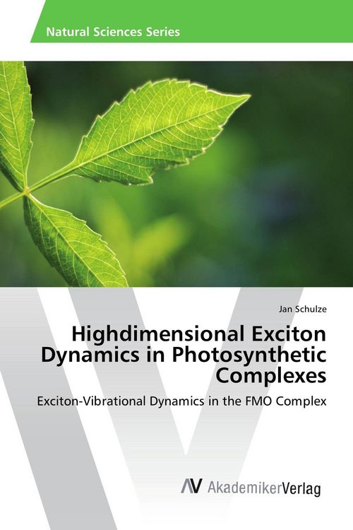 Produktbild: Highdimensional Exciton Dynamics in Photosynthetic Complexes