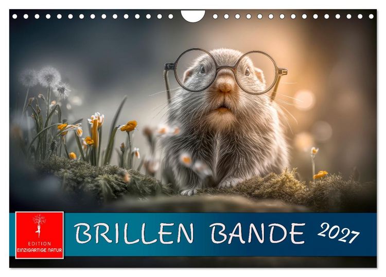 Produktbild: Brillen Bande (Wandkalender 2027 DIN A4 quer), CALVENDO Monatskalender