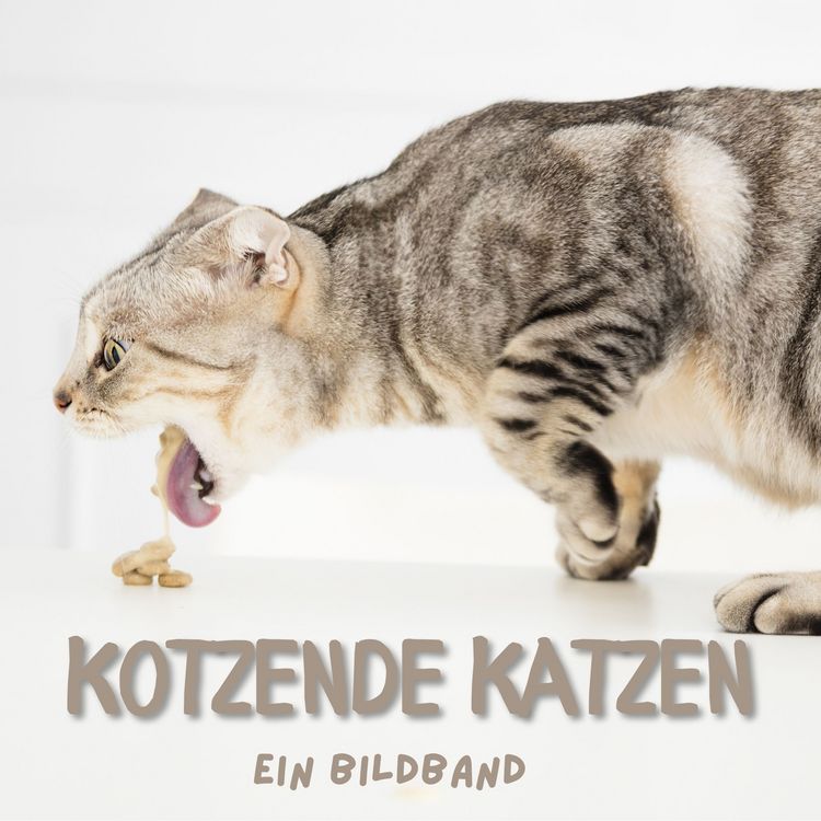 Produktbild: Kotzende Katzen