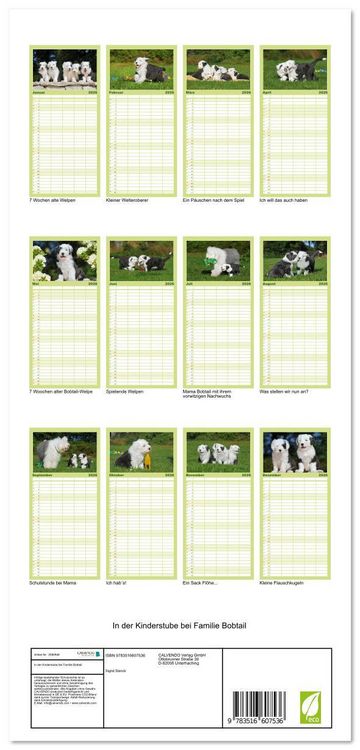 Produktbild: Familienplaner 2026 - In der Kinderstube bei Familie Bobtail mit 5 Spalten (Wandkalender, 21 x 45 cm) CALVENDO