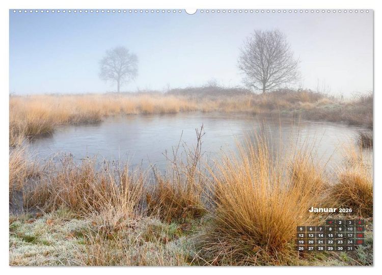 Produktbild: Die Dingdener Heide im Wandel der Jahreszeiten (Wandkalender 2026 DIN A2 quer), CALVENDO Monatskalender