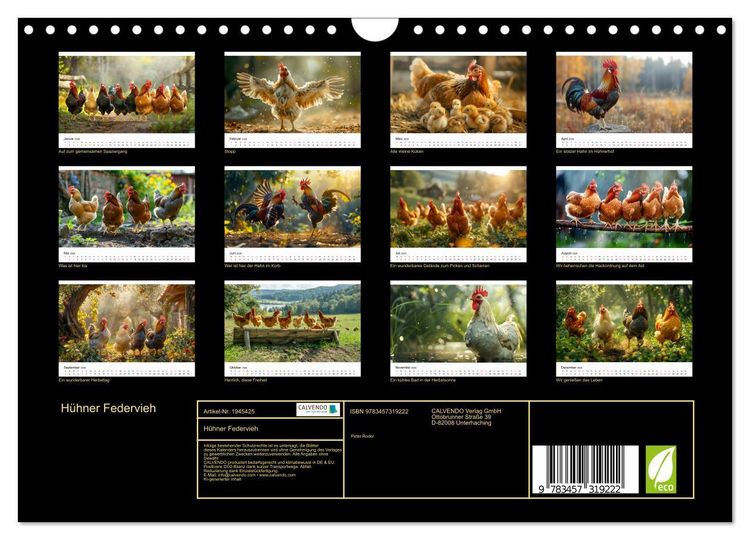 Produktbild: H&uuml;hner Federvieh (Wandkalender 2026 DIN A4 quer), CALVENDO Monatskalender