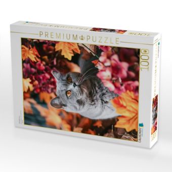Produktbild: CALVENDO Puzzle Herbstblumen | 1000 Teile Lege-Gr&ouml;&szlig;e 64x48cm Foto-Puzzle f&uuml;r gl&uuml;ckliche Stunden