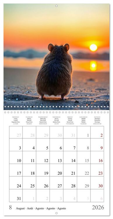 Produktbild: On holiday with AI hamsters (Wall Calendar 2026 12 &times; 12 Inch) CALVENDO 12 Month Wall Calendar