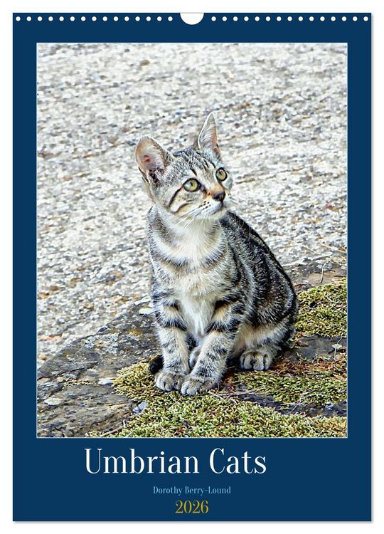 Produktbild: Umbrian Cats (Wall Calendar 2026 DIN A3 portrait), CALVENDO 12 Month Wall Calendar