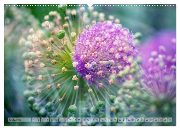 Produktbild: Vintage Nature - Romantische Naturaufnahmen (Wandkalender 2026 DIN A2 quer), CALVENDO Monatskalender